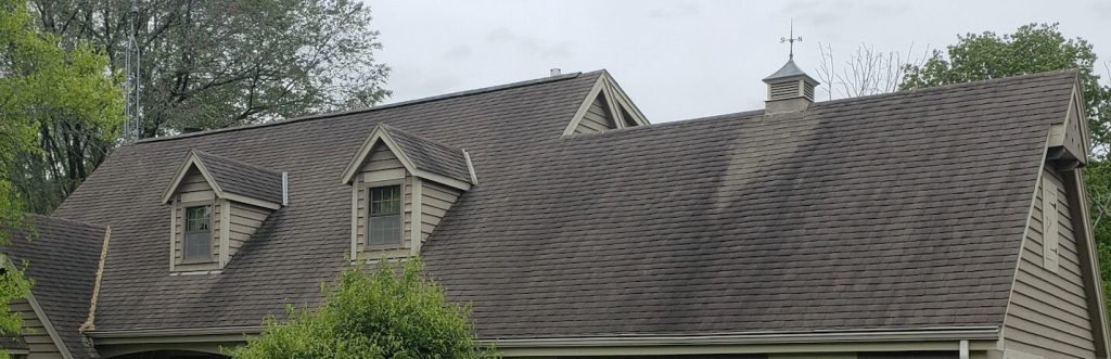 Bull Dog Builders LLC